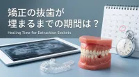 矯正の抜歯が埋まるまでの期間は？